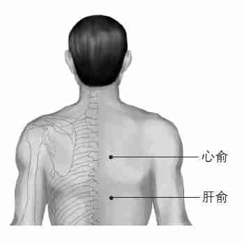 中医拔罐养生中最常见的九大穴位