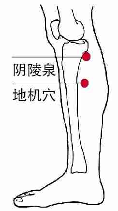 刮痧祛湿 重点刮7大养生穴位