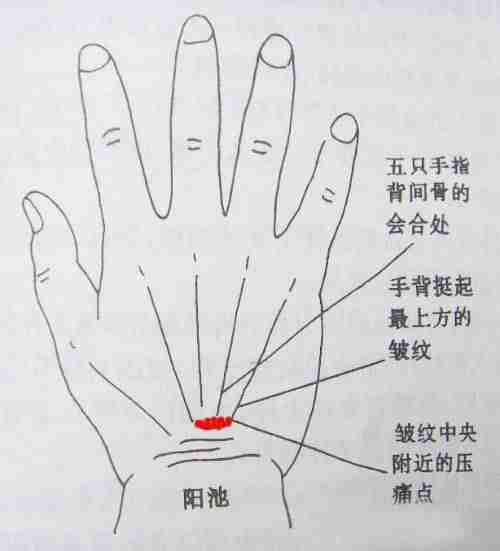 经络养生妙计 6大穴位缓解身体不适