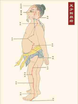 排毒经络 足少阳胆经是排解积郁的通道