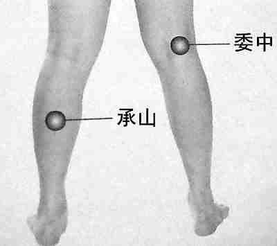 委中穴足三里等6穴位可解除身体疼痛