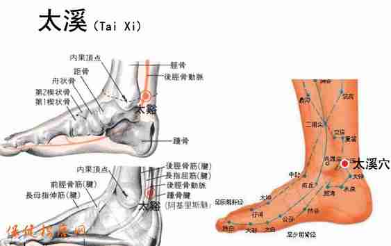 按摩“8大穴位” 改善性功能