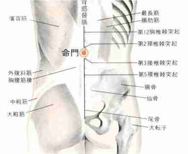 按摩“8大穴位” 改善性功能