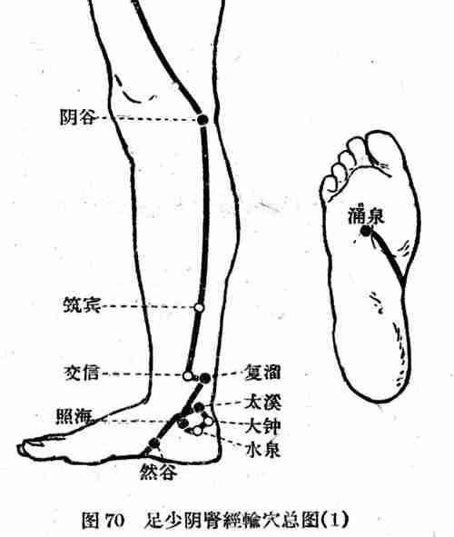 人体穴位高清图及详细按摩手法