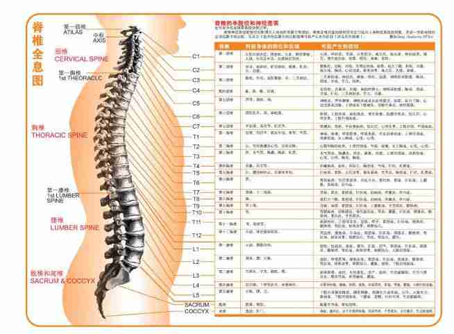 人体穴位高清图及详细按摩手法