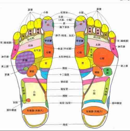 人体穴位高清图及详细按摩手法