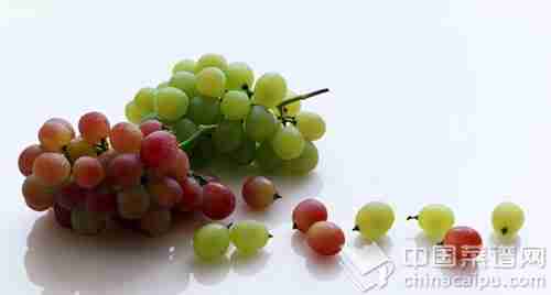 20120411122028_BmMTL.thumb.600_0.jpg